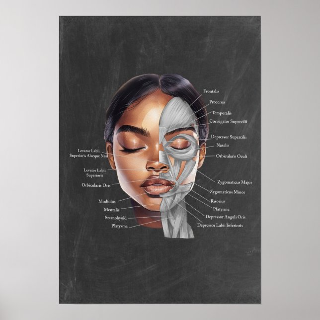 Black Woman Beauty Facial Anatomy Art Poster (Front)