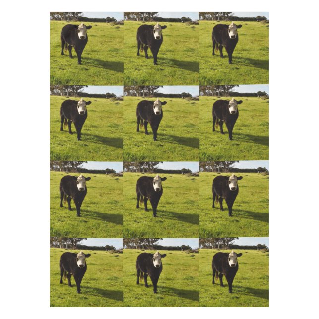 Black Woolly Cow With White Face, Tablecloth (Front)