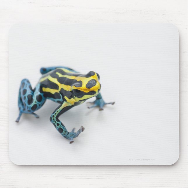 Black, Yellow and Blue Poison Dart Frog Mouse Mat (Front)