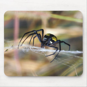 Black & Yellow Argiope Garden Spider Mousepad