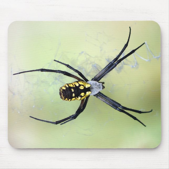 Black & Yellow Argiope Garden Spider Mousepad (Front)