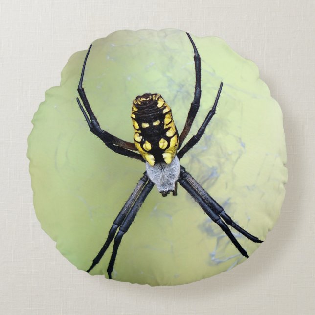 Black & Yellow Argiope Garden Spider  Round Pillow (Front)