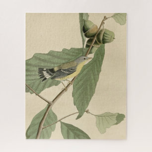 Black & Yellow Warbler, Audubon's Birds of America Jigsaw Puzzle