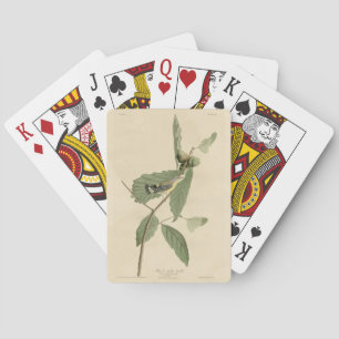 Black & Yellow Warbler, Audubon's Birds of America Playing Cards