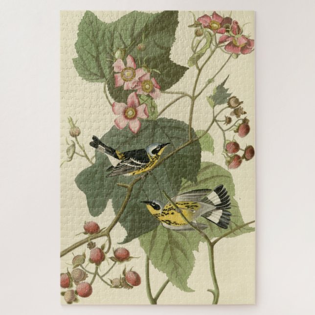 Black & Yellow Warblers Audubon's Birds of America Jigsaw Puzzle (Vertical)