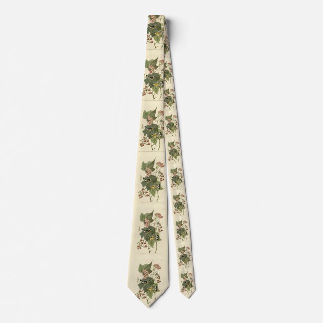 Black & Yellow Warblers Audubon's Birds of America Tie (Front)