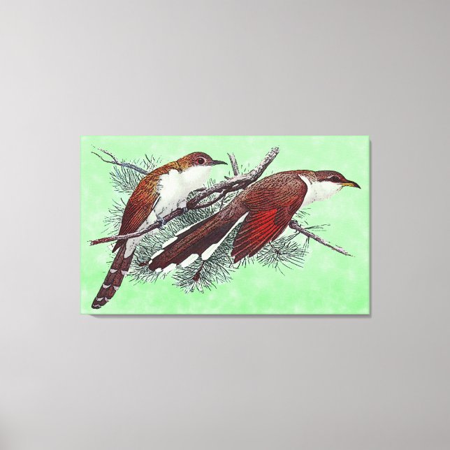 Black & Yellowed Billed Cuckoo Birds Canvas Print (Front)