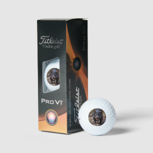 Black Young Australian Tasmanian Devil, Golf Balls