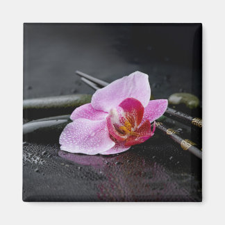 Black zen orchid magnet