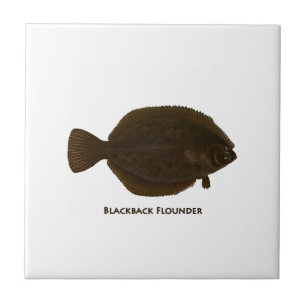 Blackback Flounder Tile
