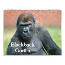 Blackback Gorilla
