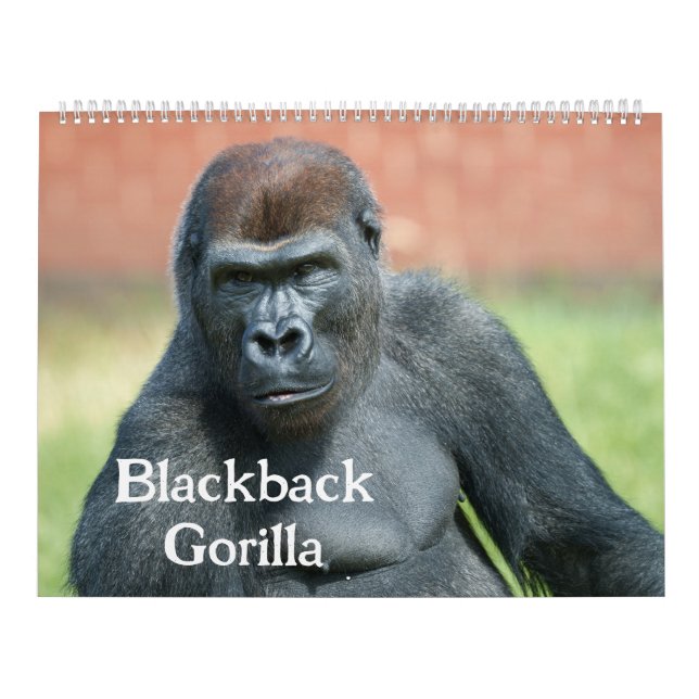 Blackback Gorilla Calendar (Cover)