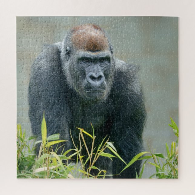 Blackback Gorilla Lope Jigsaw Puzzle (Vertical)