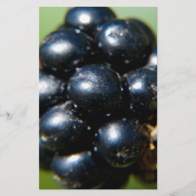 Blackberries (Front)