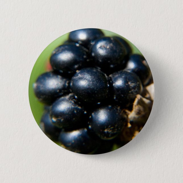 Blackberries 6 Cm Round Badge (Front)