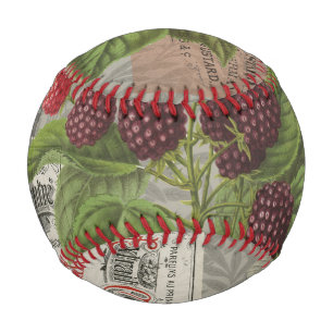 Blackberries Floral Garden Flower Butterfly Art Baseball