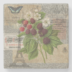 Blackberries Floral Garden Flower Butterfly Art Stone Coaster