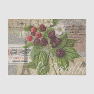 Blackberries Floral Garden Flower Butterfly Art Tissue Paper