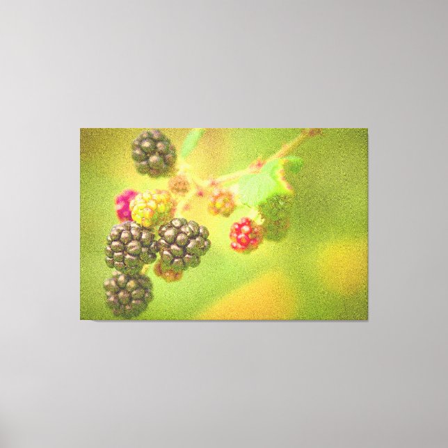 "Blackberries Fruit Plant" Cute Photo. Buy Now Canvas Print (Front)