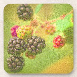 "Blackberries Fruit Plant" Cute Photo. Buy Now Coaster