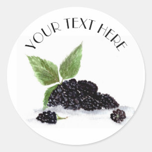 Blackberries fruits watercolor berries food  classic round sticker