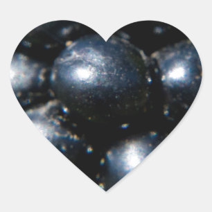 Blackberries Heart Sticker