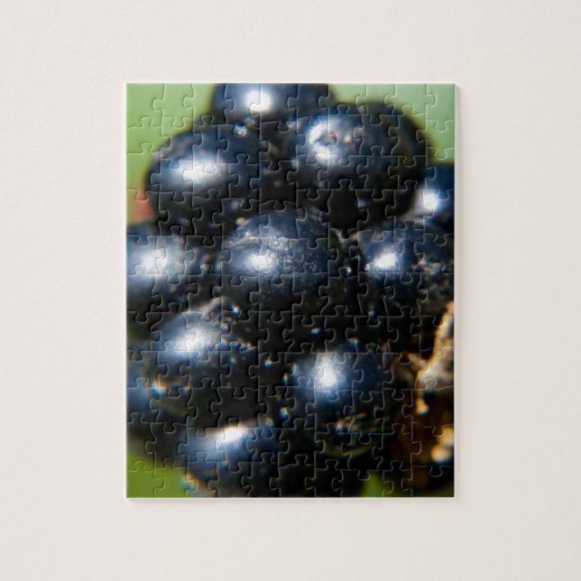 Blackberries Jigsaw Puzzle (Vertical)