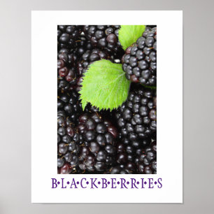 Blackberries Kitchen Art Poster