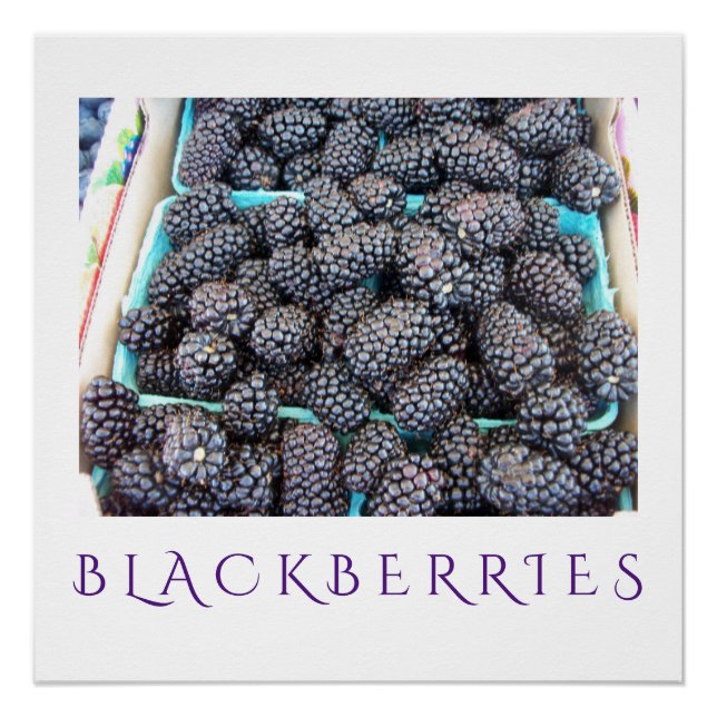 Blackberries Kitchen Art Poster for Home Decor (Front)