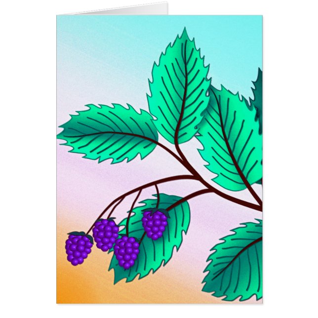 Blackberries on a branch (Front)