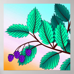 Blackberries on a branch poster