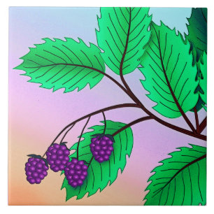 Blackberries on a branch tile
