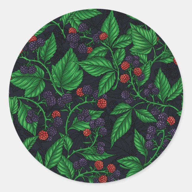 Blackberries on dark grey classic round sticker (Front)