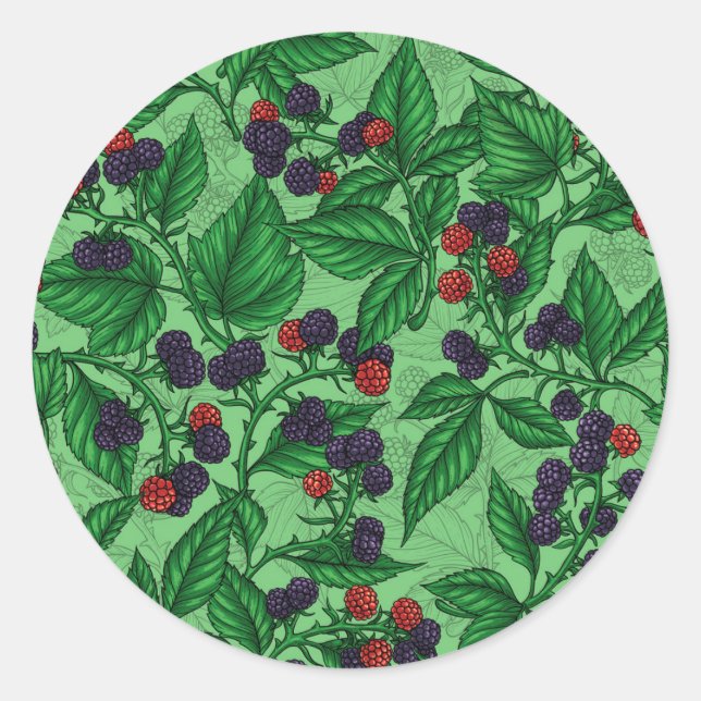 Blackberries on green classic round sticker (Front)