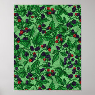 Blackberries on green poster