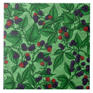 Blackberries on green tile