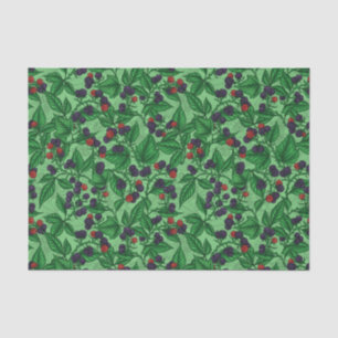 Blackberries on green tissue paper