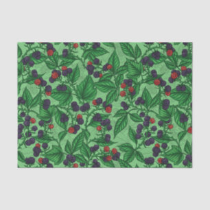 Blackberries on green tissue paper