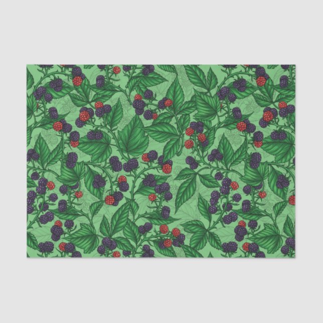 Blackberries on green tissue paper (Front)