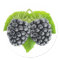 Blackberries on leaves