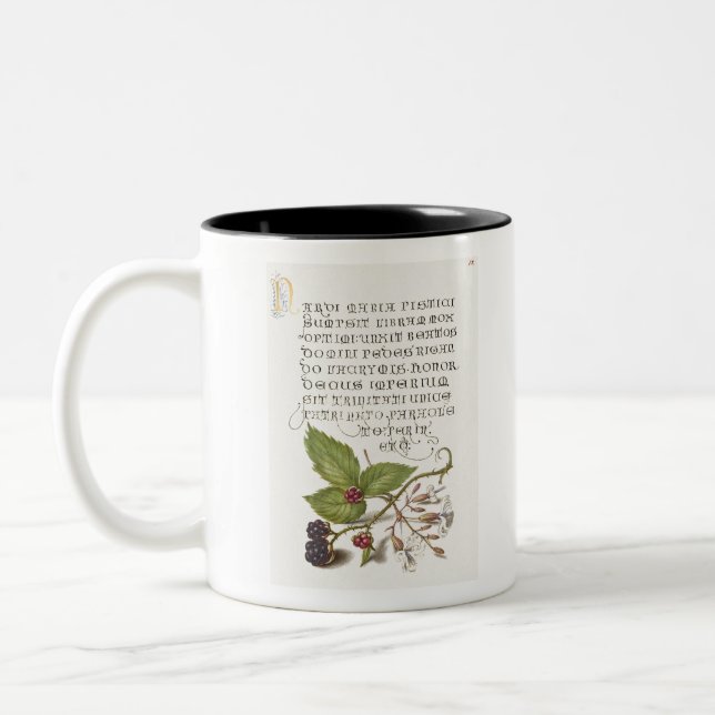 Blackberry and Nottingham Catchfly Calligraphy Two-Tone Coffee Mug (Left)