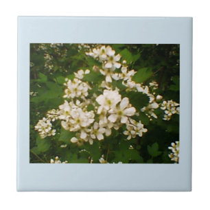 Blackberry Bloom Tile