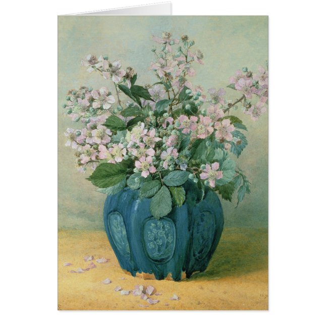 Blackberry Blossoms (Front)