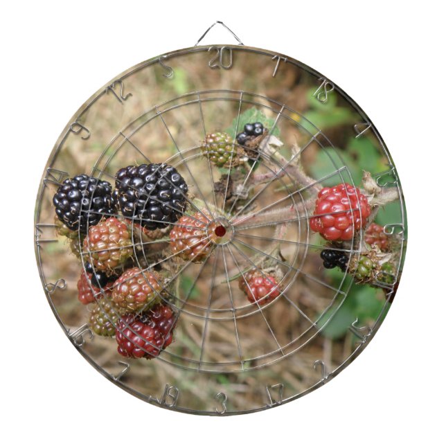 Blackberry Bonanza Dart Board (Front)