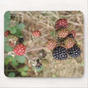 Blackberry Bonanza Mousepad