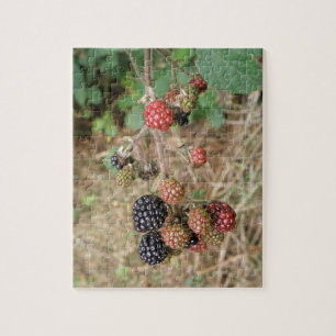 Blackberry Bonanza Puzzle
