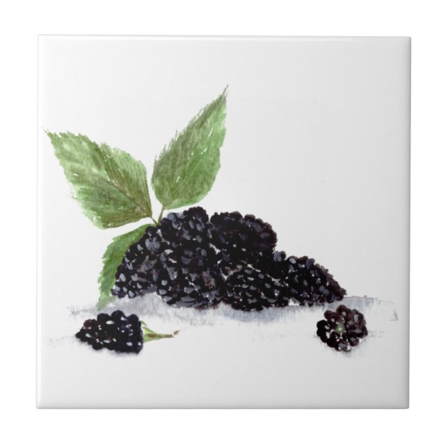 Blackberry Bramble blackberries fruits watercolor  Tile (Front)