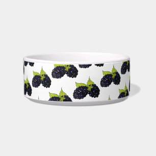 Blackberry Bush Summer Blackberries Berry Berries Bowl