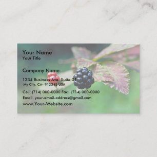 Blackberry Business Card