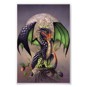 Blackberry Dragon 4x6 Print